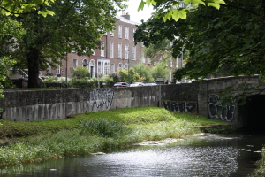 Dublin_3108