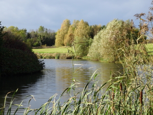 Dublin_Okt_2021_6713