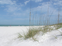 Florida_2_112