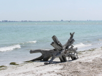 Florida_2_230