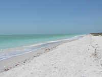 Florida_2_264