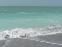 Florida_2_280