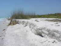 Florida_2_284