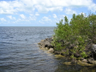 Florida_3_272