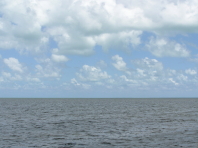 Florida_3_273