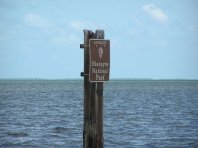 Florida_3_284