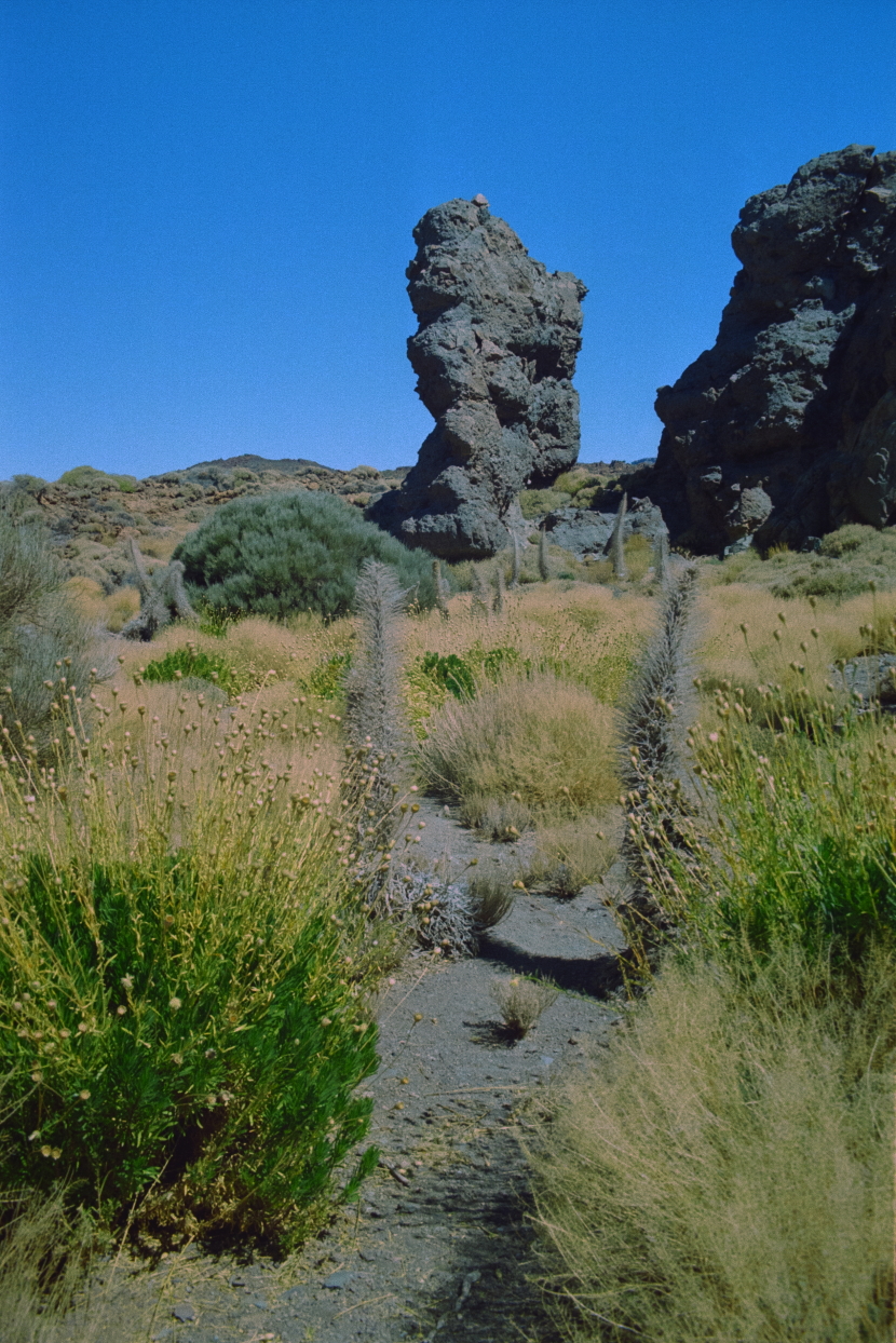 teide_12