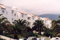 puerto_de_la_cruz_29