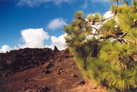 teide_22